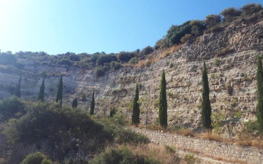 Field in Souskiou, Paphos