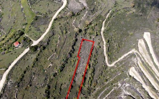 Field in Potamiou, Limassol