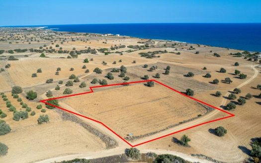 Touristic field in Agios Theodoros, Larnaca