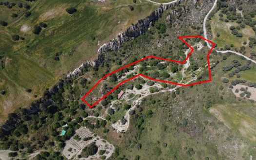 Two shared agricultural fields in Lasa, Paphos