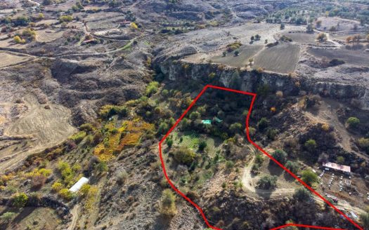 Shared agricultural field in Lasa, Paphos