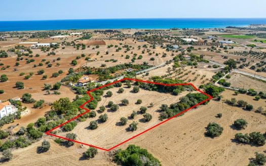 Residential field in Mazotos, Larnaca