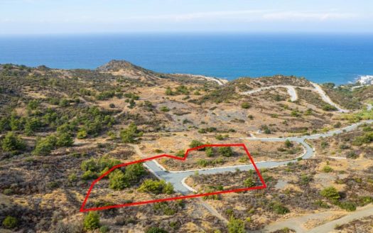 Residential field under division in Pigenia, Nicosia