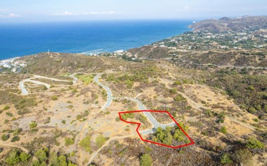 Residential field under division in Pigenia, Nicosia