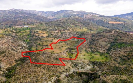 Agricultural field in Pegeia, Paphos