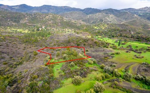 Shared agricultural field in Vavla, Larnaca