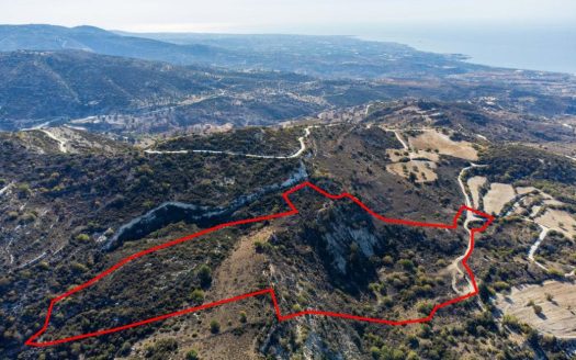 Shared agricultural field in Akoursos, Paphos