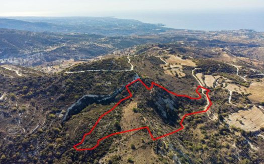 Shared agricultural field in Akoursos, Paphos
