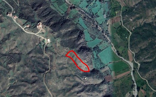 Agricultural field in Kato Pyrgos, Nicosia