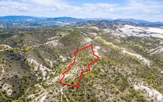 Shared agricultural field in Pentakomo, Limassol