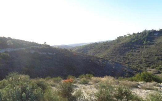 Agricultural field in Asgata, Limassol