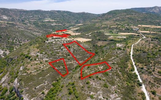 Fields in Dora, Limassol