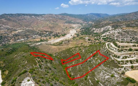 Fields in Dora, Limassol