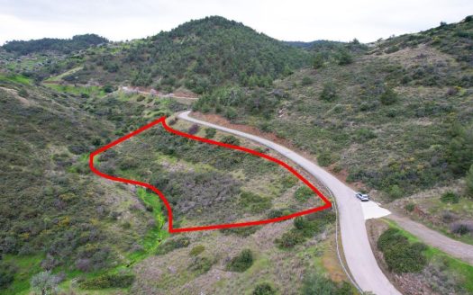 Field in Pano Pyrgos, Nicosia