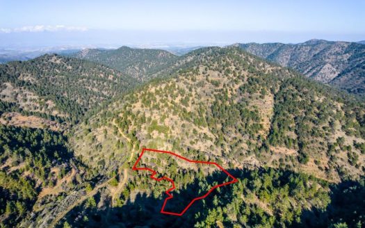 Agricultural field in Fterikoudi, Nicosia