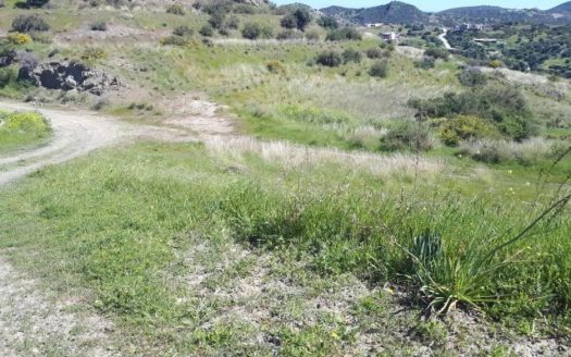 Residential field in Kato Pyrgos, Nicosia