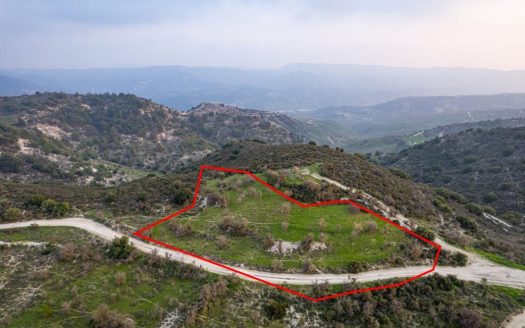 Shared agricultural field in Salamiou, Paphos
