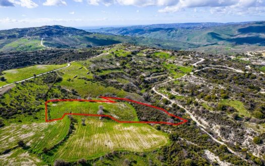 Shared agricultural field in Salamiou, Paphos