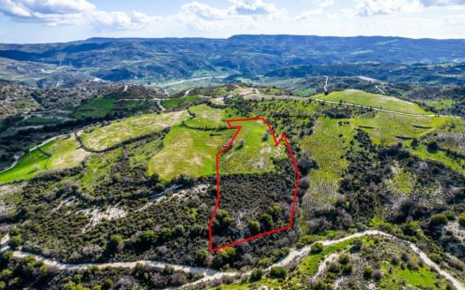 Shared agricultural field in Salamiou, Paphos