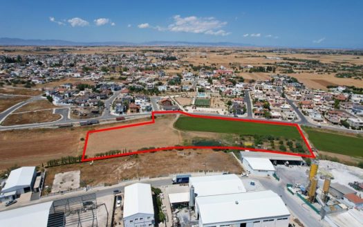 Shared field in Xylotymvou, Larnaka