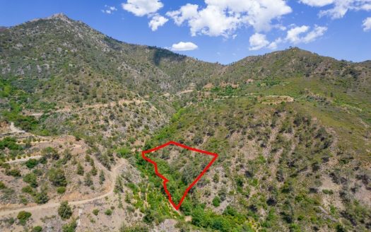 Four fields in Sykopetra, Limassol