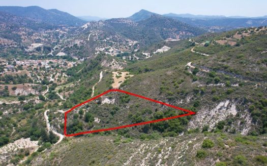 Agricultural field in Gerasa, Limassol