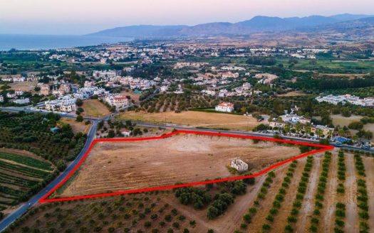Residential field in Polis Chrysochous, Paphos