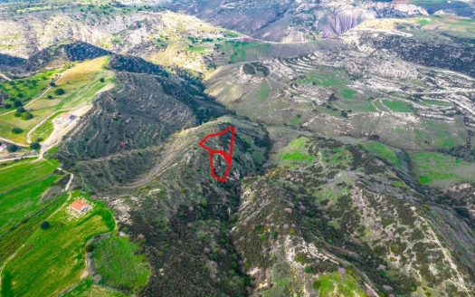 Agricultural fields in Pegeia, Paphos