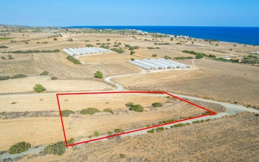 Touristic field in Maroni, Larnaca