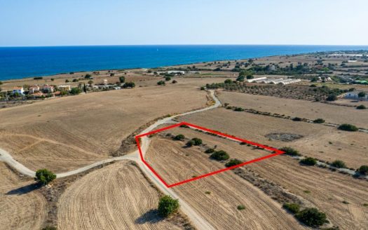 Touristic field in Maroni, Larnaca