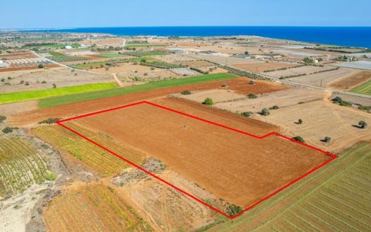 Touristic field in Alaminos, Larnaca