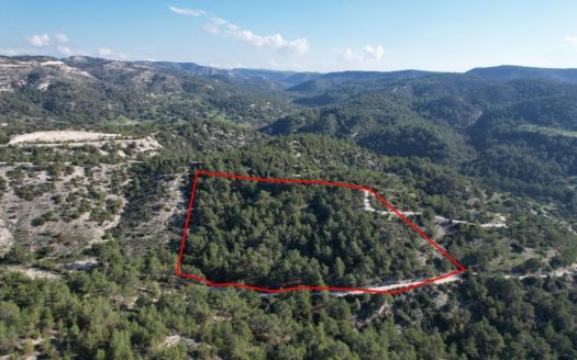 Shared field in Pano Archimandrita, Paphos