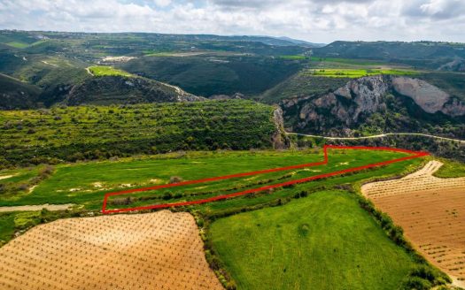 Field in Pano Arodes, Paphos