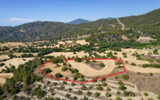 Shared agricultural field in Lysos, Paphos