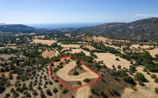 Shared agricultural field in Lysos, Paphos