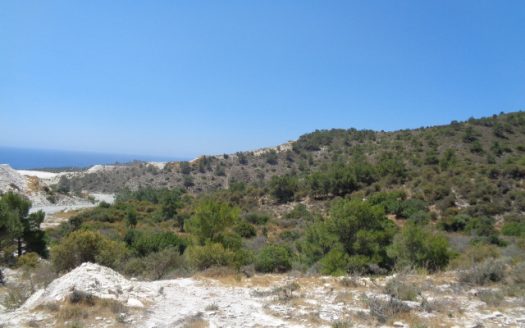 Shared agricultural field in Asgata, Limassol