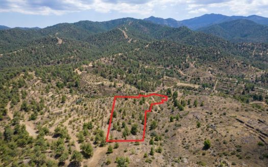 Agricultural field in Xyliatos, Nicosia