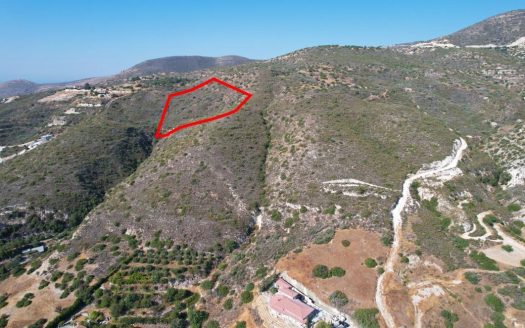 Agricultural field in Akrounta, Limassol