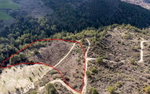 Field in Dora, Limassol