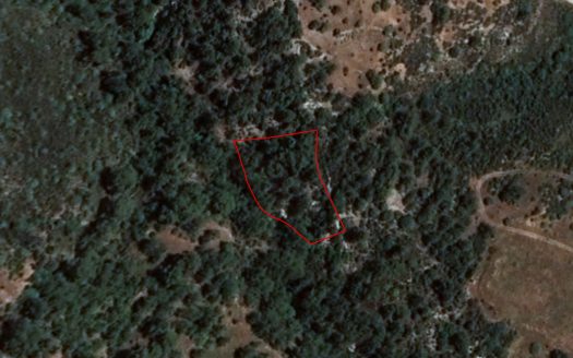 Field in Dora, Limassol