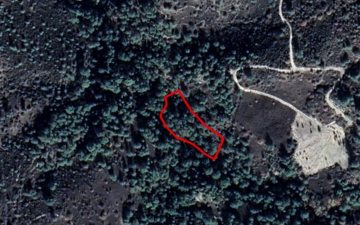 Field in Dora, Limassol