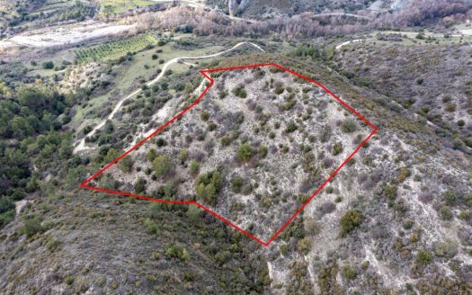 Field in Dora, Limassol