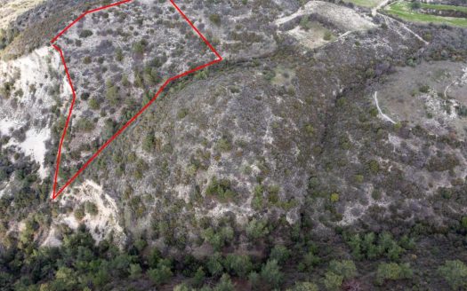 Field in Dora, Limassol