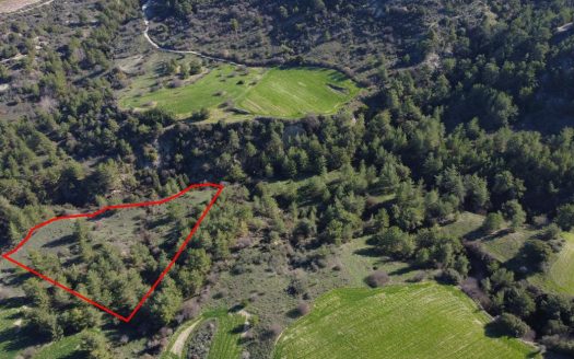 Field in Mousere, Paphos