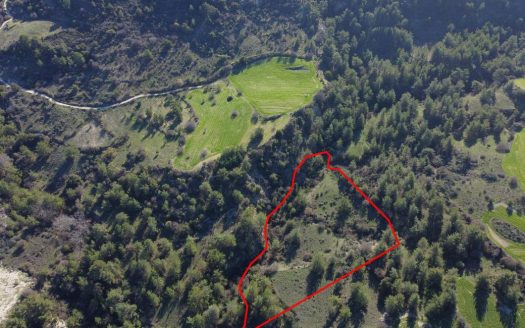 Field in Mousere, Paphos