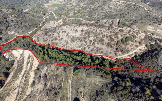 Field in Mousere, Paphos