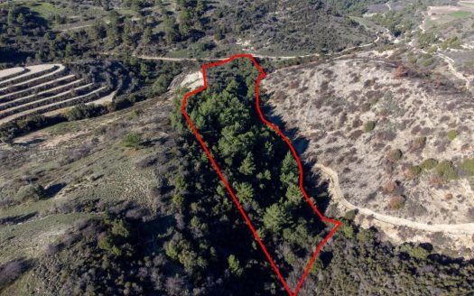 Field in Mousere, Paphos