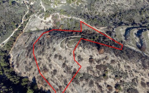 Field in Mousere, Paphos