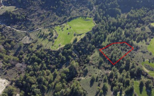 Field in Mousere, Paphos