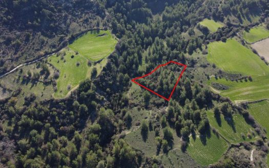 Field in Mousere, Paphos